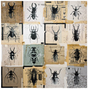 Les-scarabees
