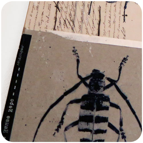 Les-scarabees-details-002B