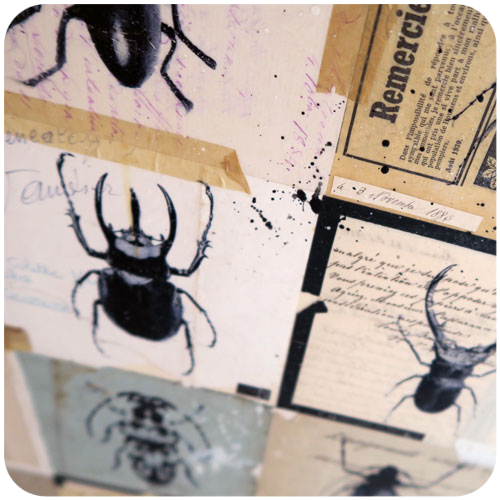 Les-scarabees-details-004B